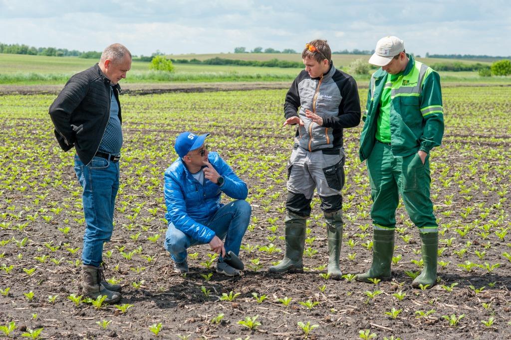 Цукровий буряк: від сівби – до збирання. У новий сезон разом з ПП «Західний Буг»